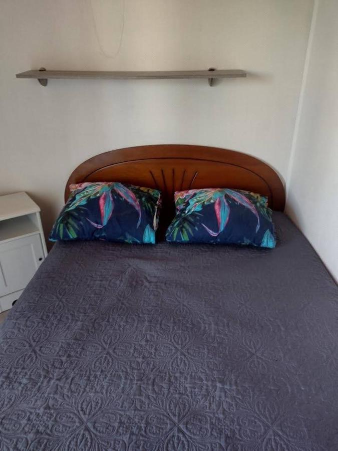 Appartement Saint Cyprien Plage 6 Couchages Dış mekan fotoğraf